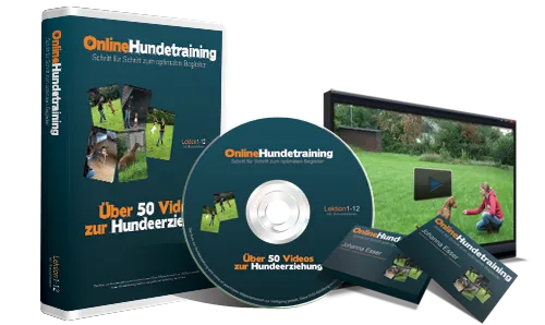 Hundeschule online Kursübersicht